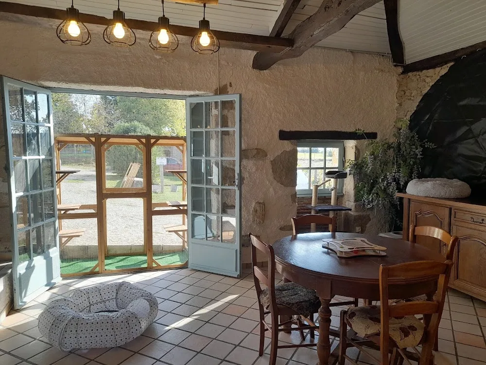 Pension Féline Louna - Lot pet otel