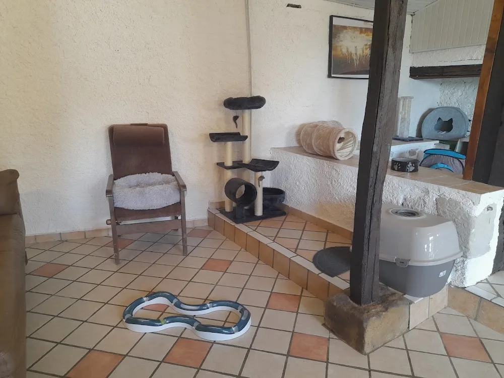 Pension Féline Louna - Lot pet otel görseli 3