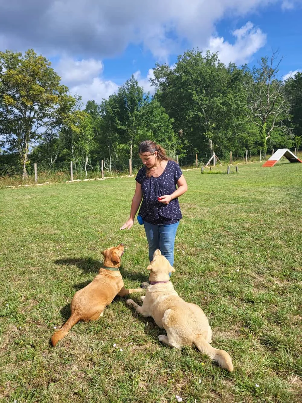Personne & Bête - éducateur canin Lot - Pension canine - méthode positive - médiation animale - Lot pet otel görseli 3
