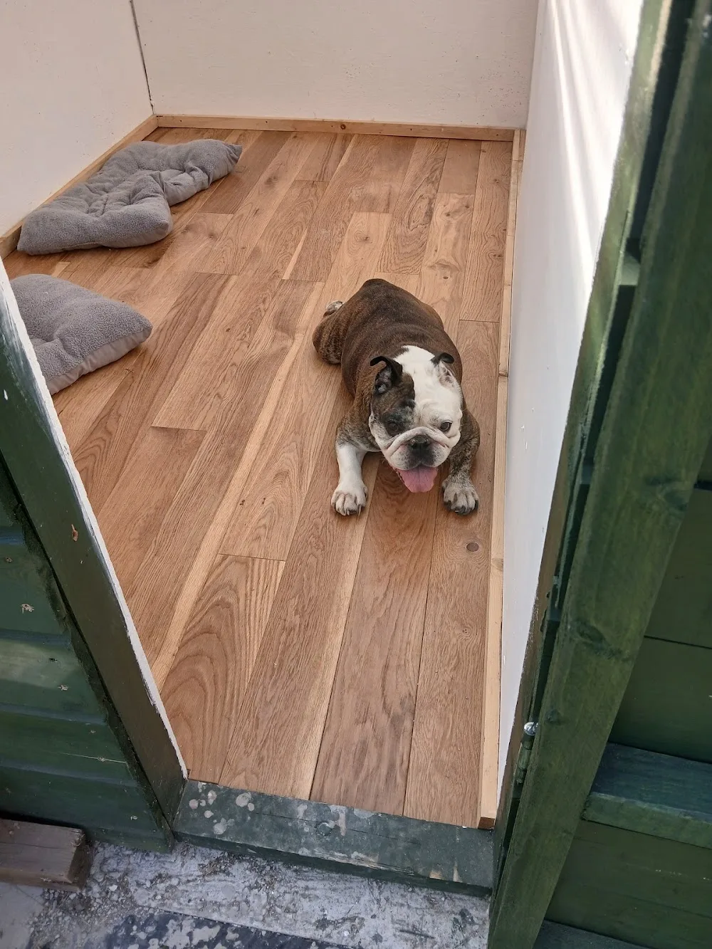 Begrath Boarding Kennels - Louth pet otel görseli 6