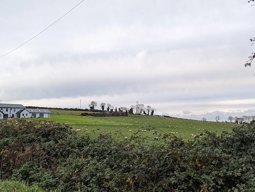 Bellewstown Kennels and Cattery - Louth pet otel
