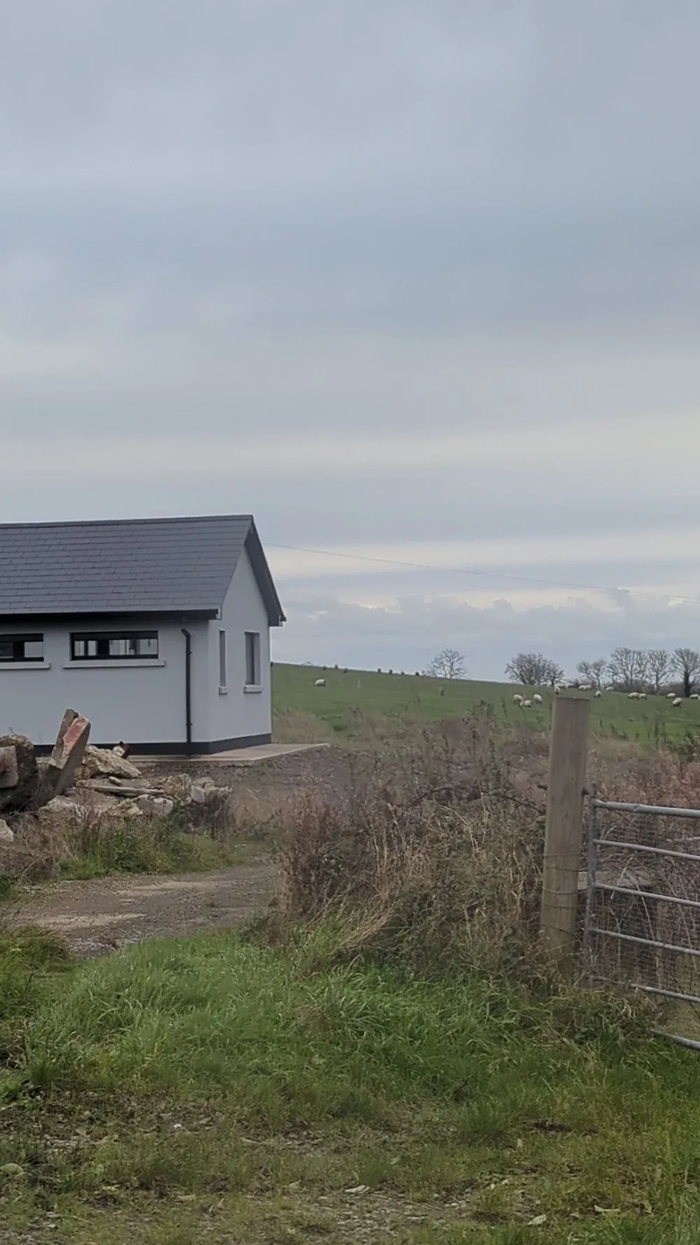 Bellewstown Kennels and Cattery - Louth pet otel görseli 7