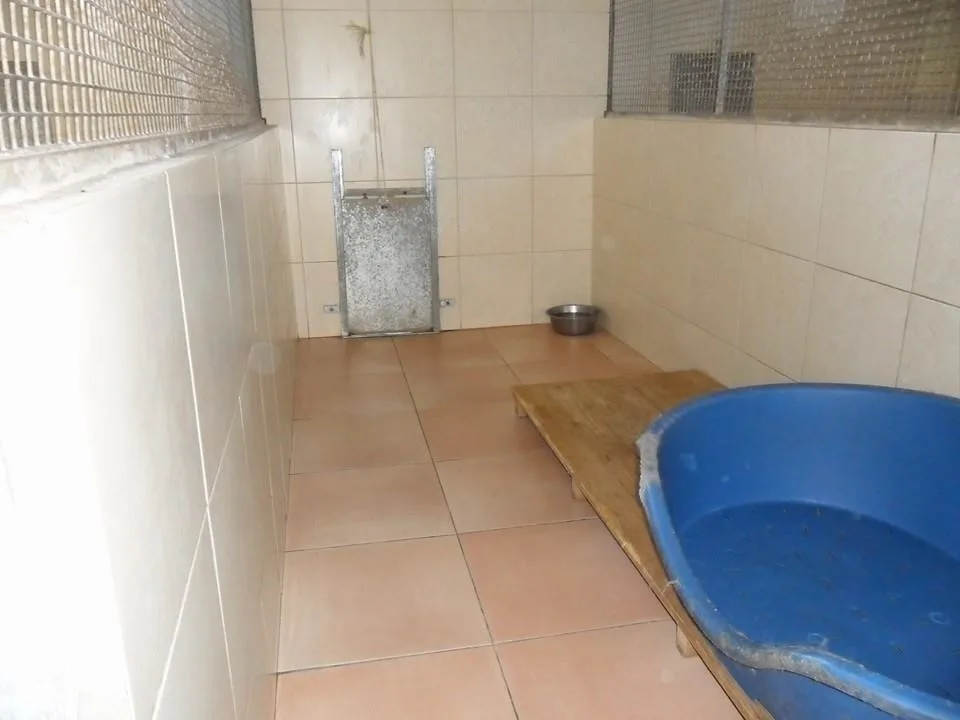 Belview Kennels - Louth pet otel görseli 3