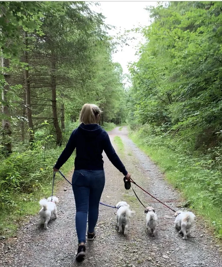 Blue Mountain Dog Boarding Kennels & Cattery - Louth pet otel görseli 3