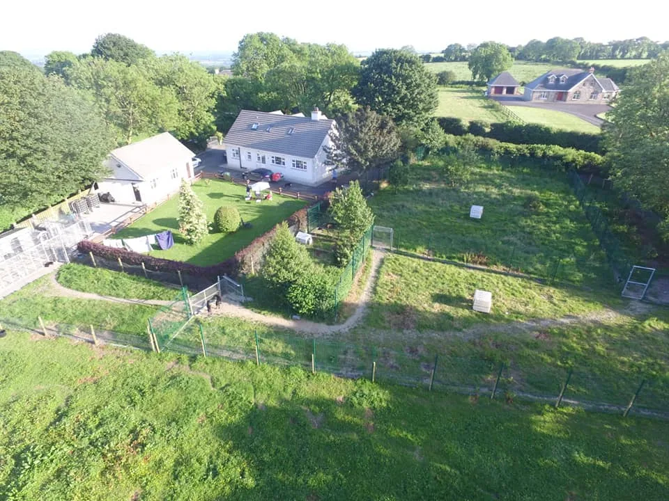 Cardrath Boarding and Training Kennels - Louth pet otel görseli 7