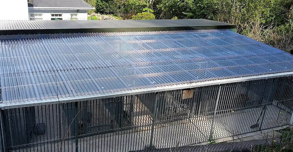 Kilbroney Kennels - Louth pet otel görseli 3