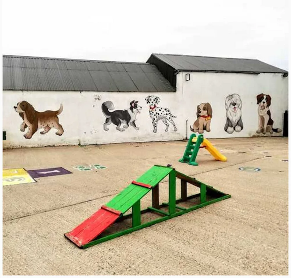 Leode Kennels - Louth pet otel görseli 2