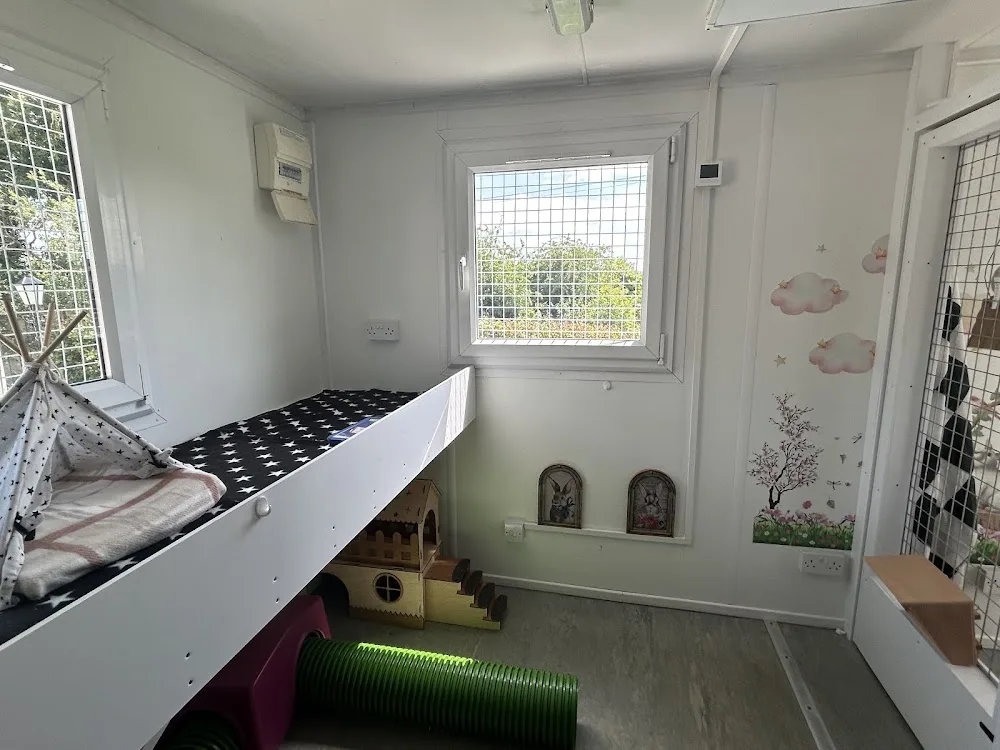 Whiskers and Furries Hotel - Louth pet otel görseli 3