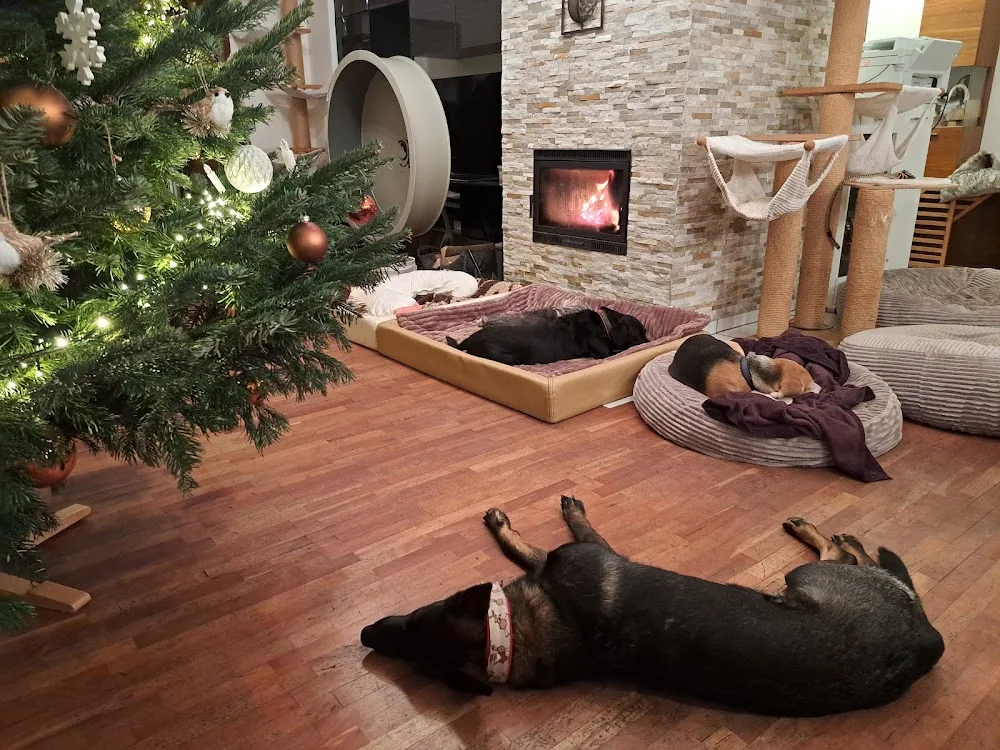 Heylik's Hundebetreuung (100% Familienanschluss) & -training - Lower Austria pet otel görseli 3
