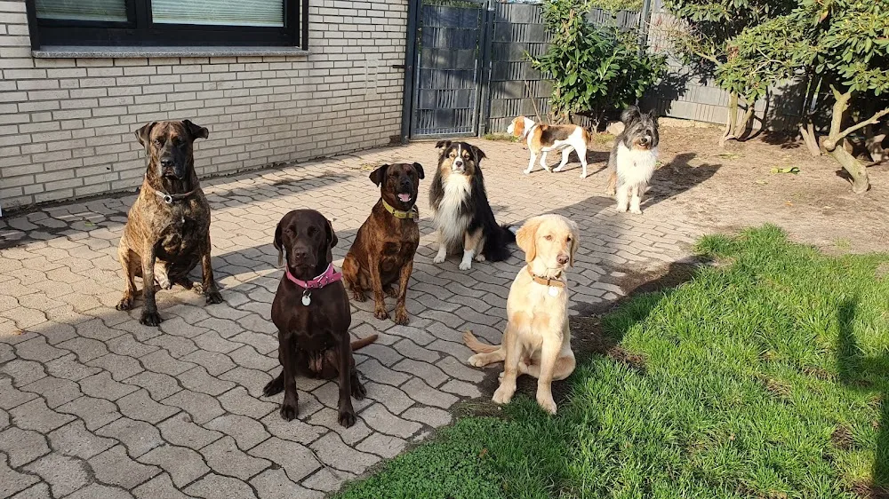 Die Hundehütte - Pension & Tagesstätte Christina Prendel - Lower Saxony pet otel görseli 3