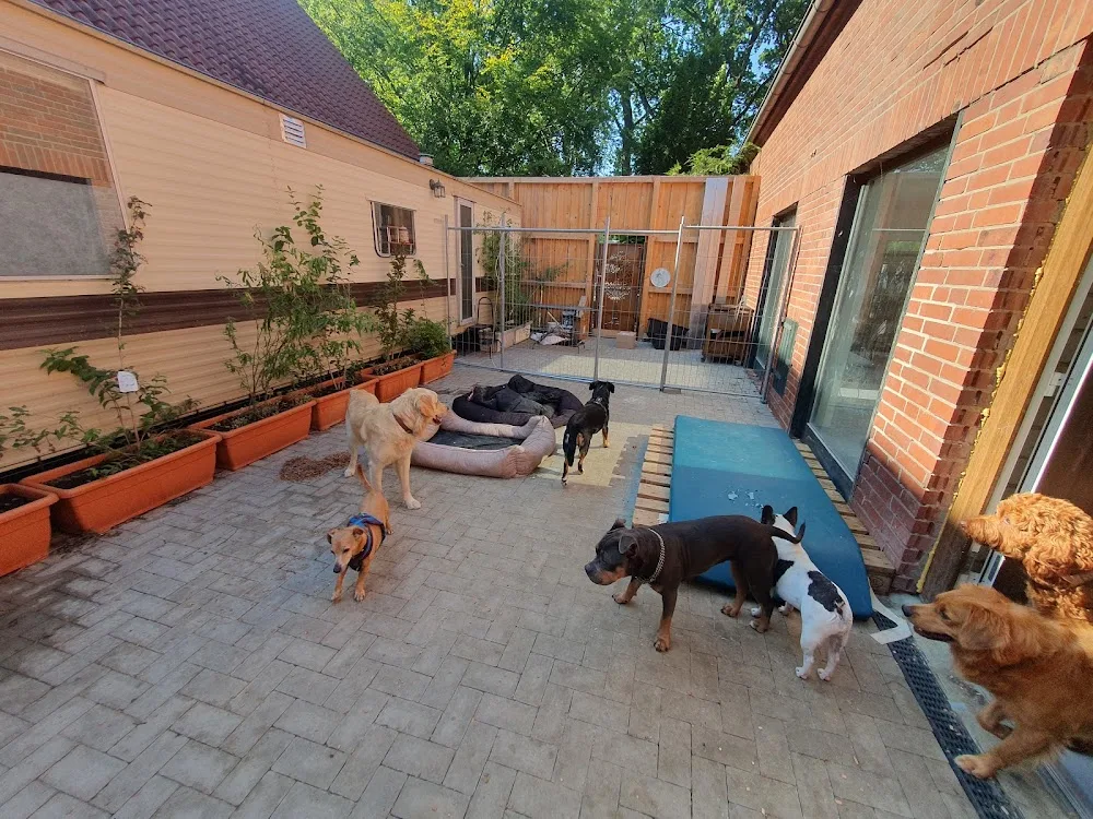 Hundepension Happy-Dog - Lower Saxony pet otel