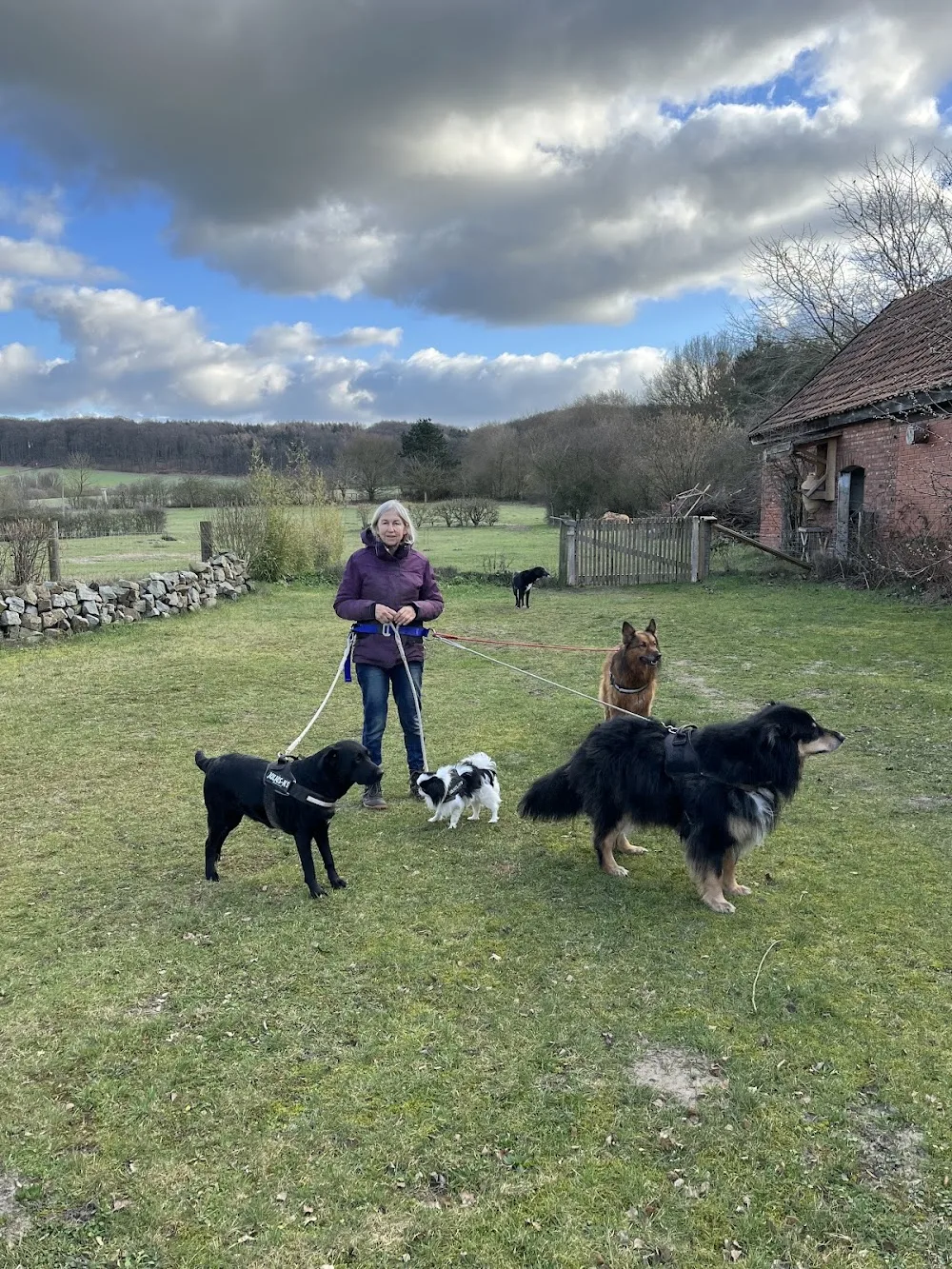 Hundepension Tonk - Lower Saxony pet otel