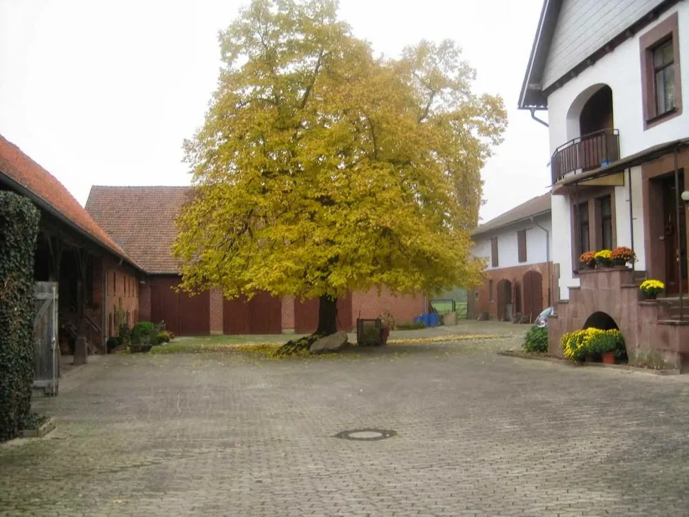 Katzenpension Lindenhof, F. Lübbe - Lower Saxony pet otel