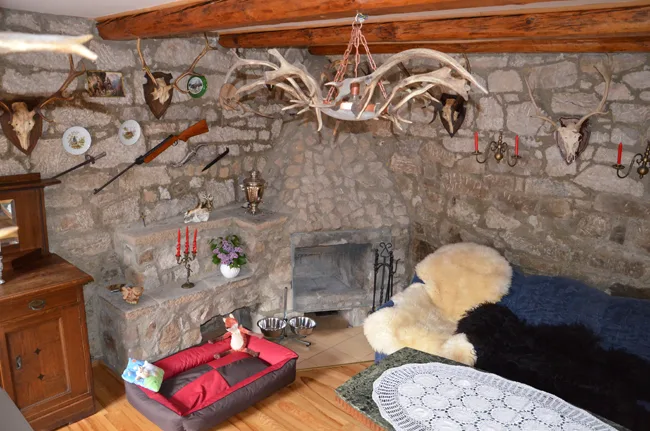 DOG'S INN Hotel dla Zwierząt Psów - Lower Silesia pet otel görseli 3