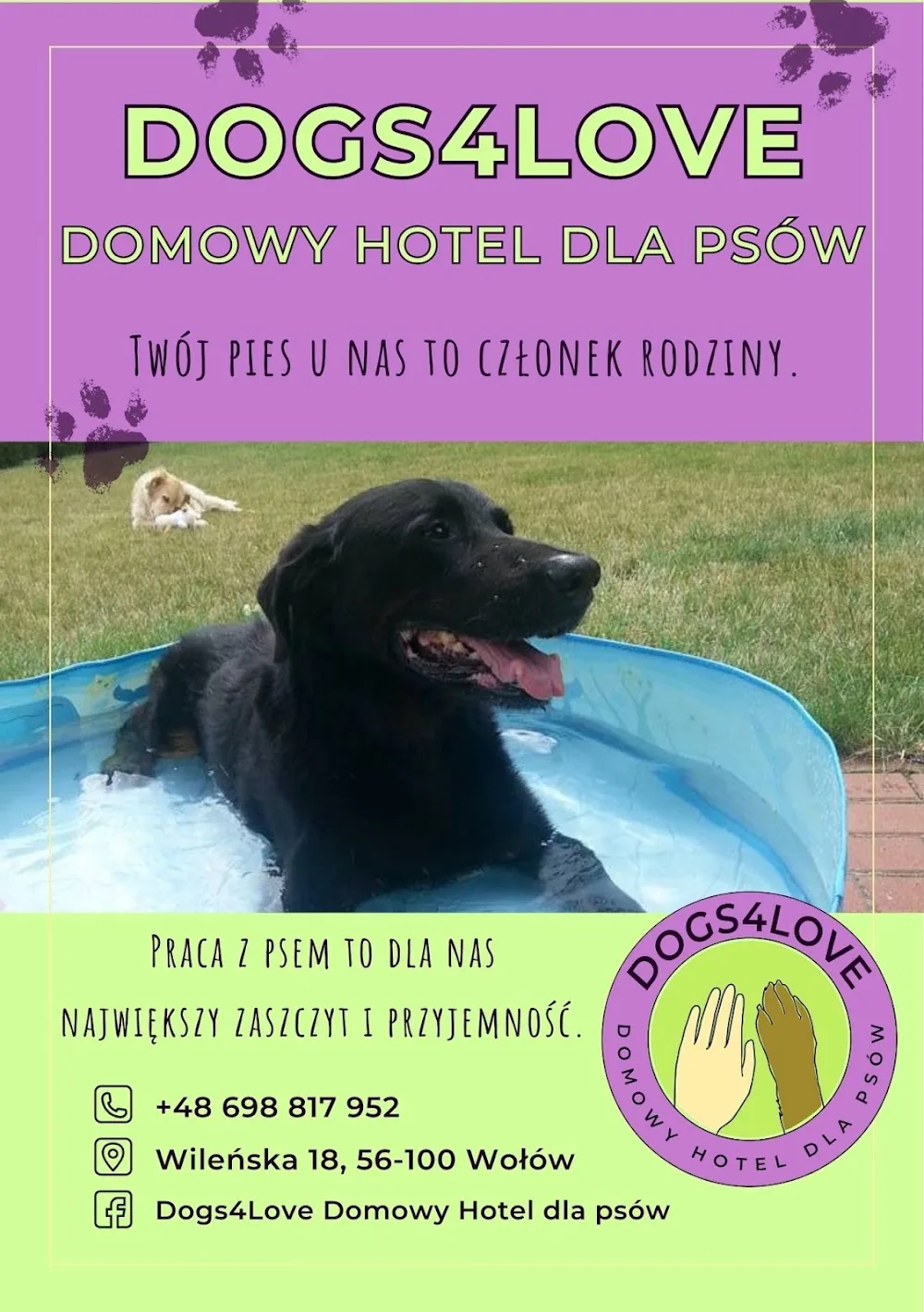 Dogs4Love Domowy Hotel dla Psów - Lower Silesia pet otel