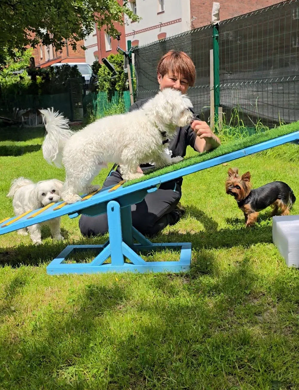 Domowy hotelik dla psów, malych ras DOG HOLIDAY - Lower Silesia pet otel görseli 3