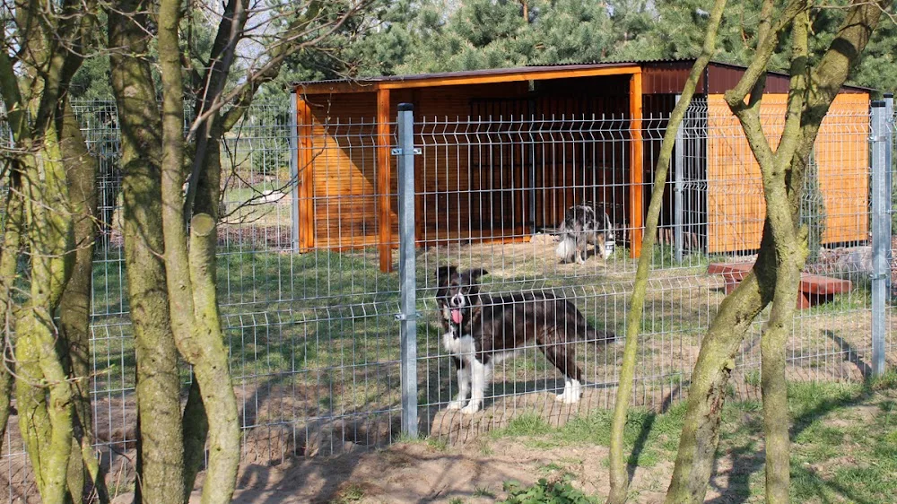 Hotel dla psów PSI-LAND - Lower Silesia pet otel