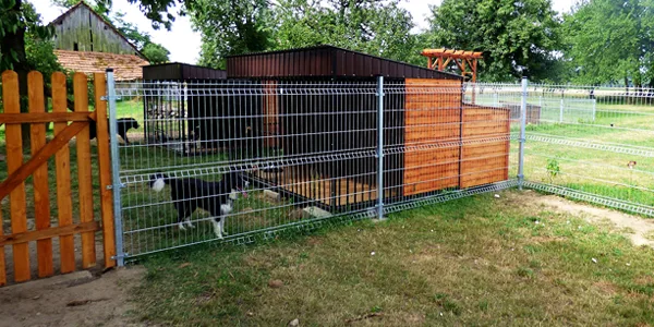 Hotel dla psów PSI-LAND - Lower Silesia pet otel görseli 3