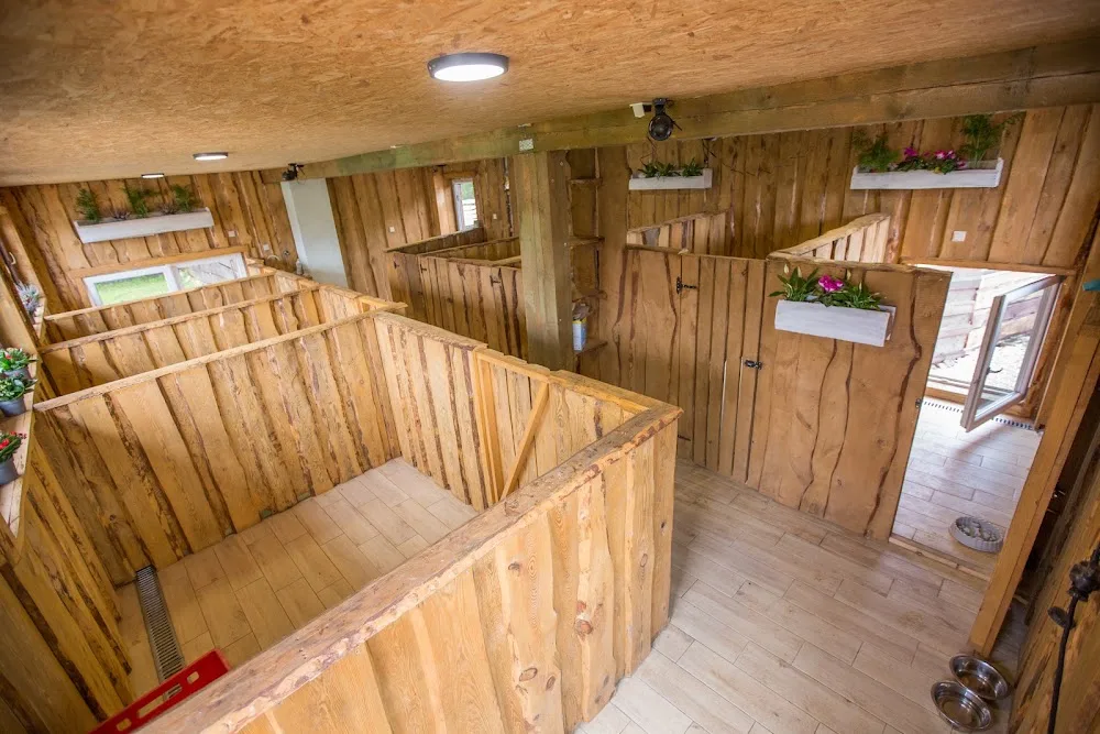 Samoyedowa Zagroda Hotel dla Zwierząt - Lower Silesia pet otel görseli 7