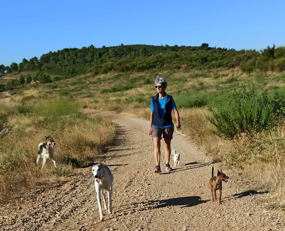 Pension Canine Familiale Comme Chez Vous - Lozère pet otel görseli 3