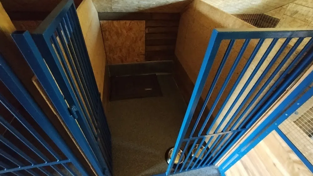 Kąt Pupila Hotel dla kotów i małych innych zwierząt - Lubusz pet otel