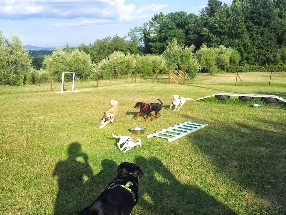 Mi fido di Fido - Educatore cinofilo a domicilio - Pensione casalinga - Francesca e Riccardo - Lucca pet otel