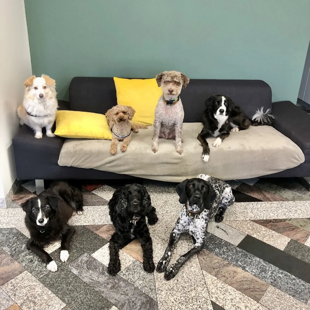 DOG PLACE Buchrain - Lucerne pet otel