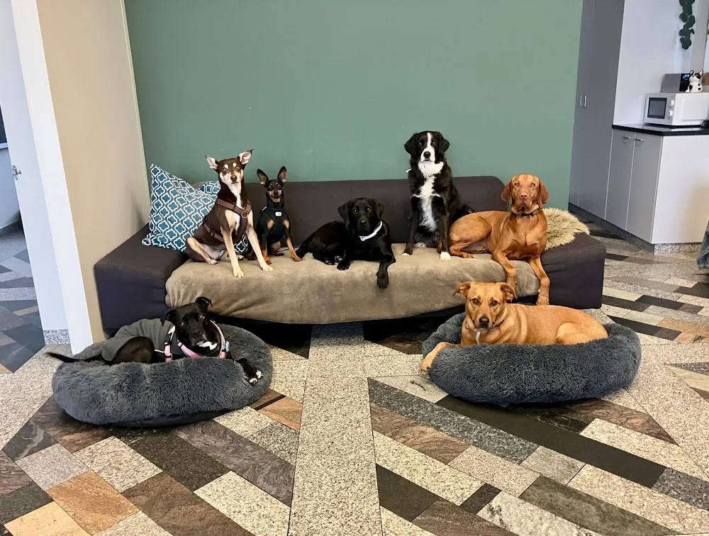 DOG PLACE Buchrain - Lucerne pet otel görseli 3