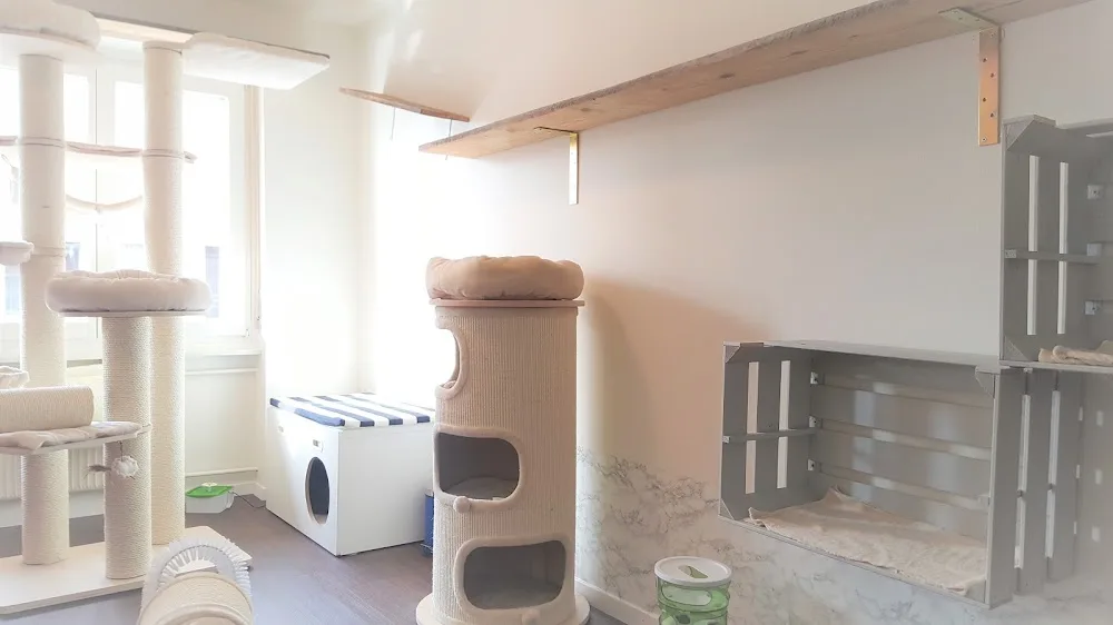 Katzenstube Emmen - Lucerne pet otel görseli 3