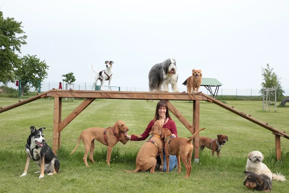 Kajsas Dog Lodge Hundezentrum Manja Leissner - Lucka pet otel