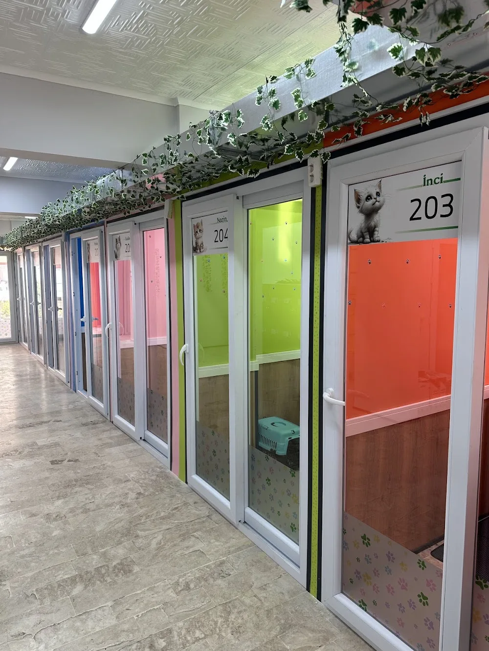 Lucky Cats Hotel Kedi Oteli - xPet Otel
