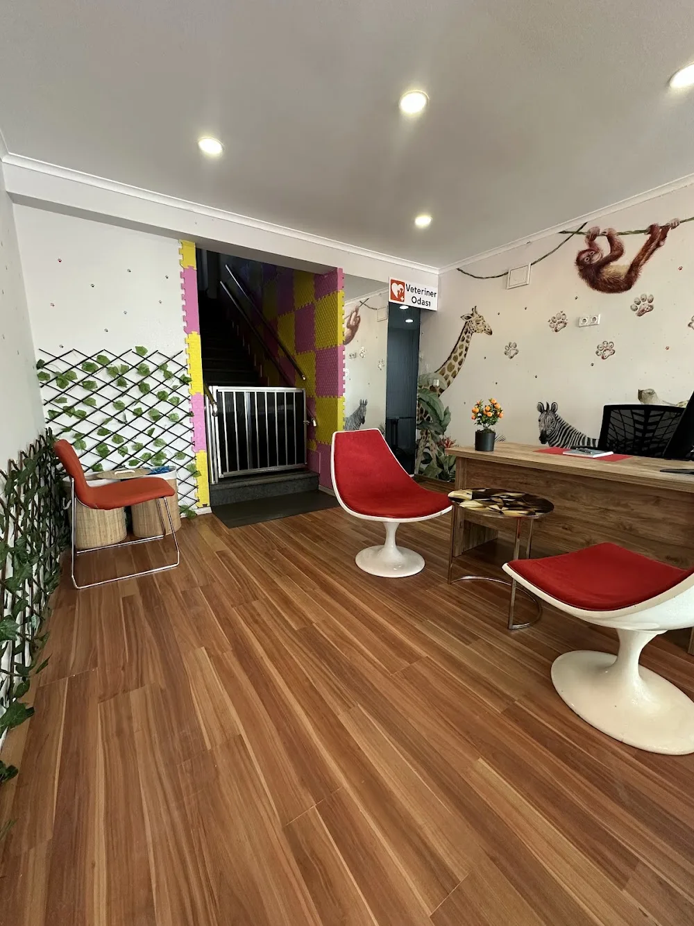 Lucky Cats Hotel Kedi Oteli - xPet Otel görseli 3