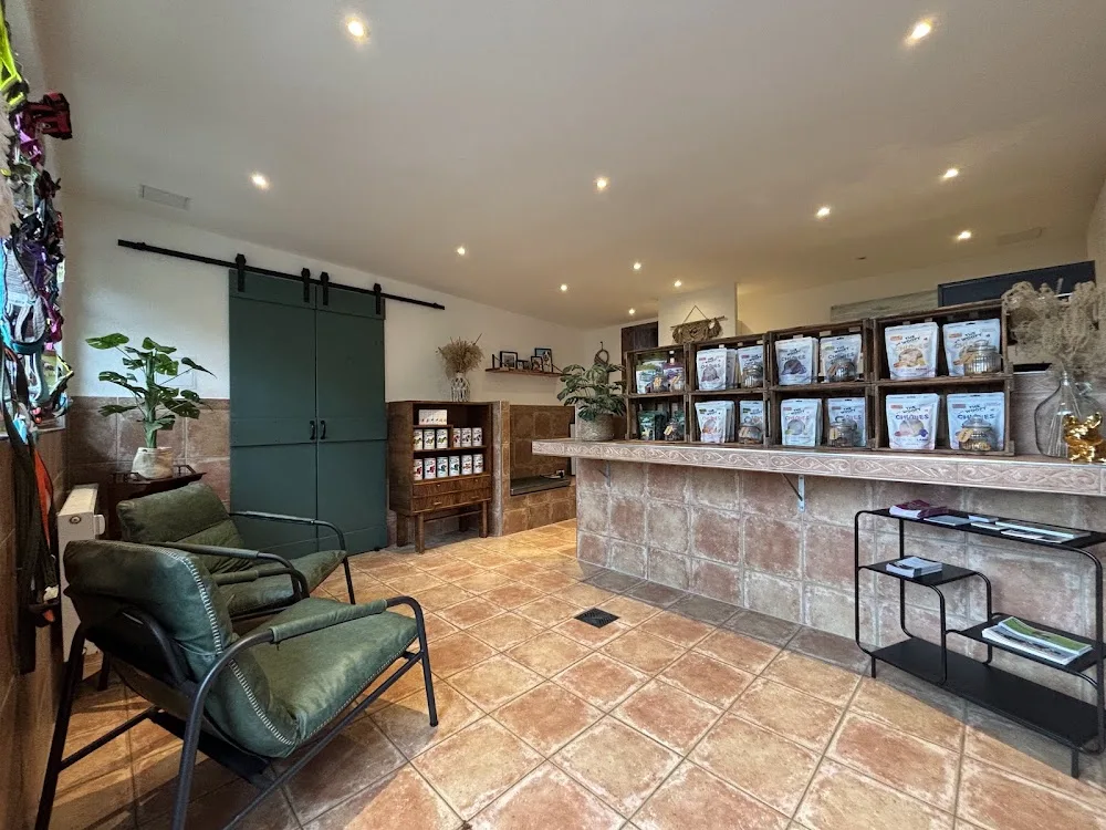 THE.BEACH.DOG Hundefriseur & Hundepension - Ludwigsburg pet otel görseli 3