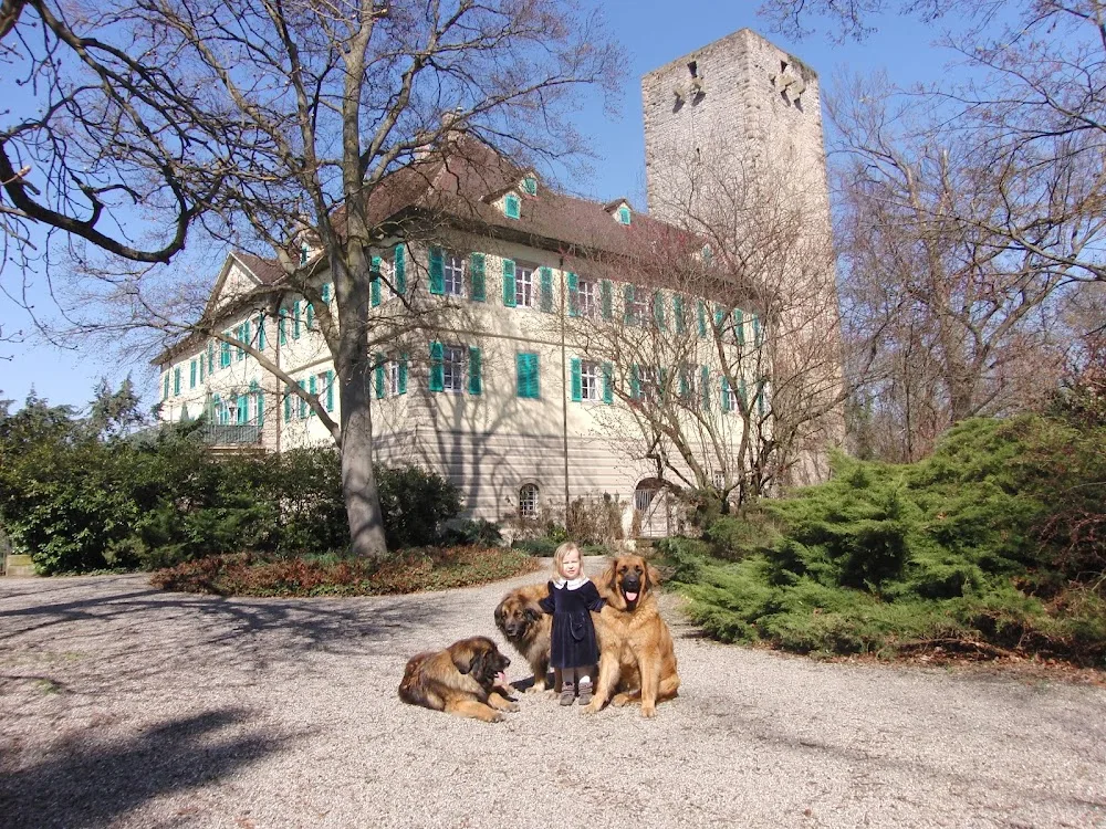 TierSchlosshotel Care Royal - Ludwigsburg pet otel görseli 3