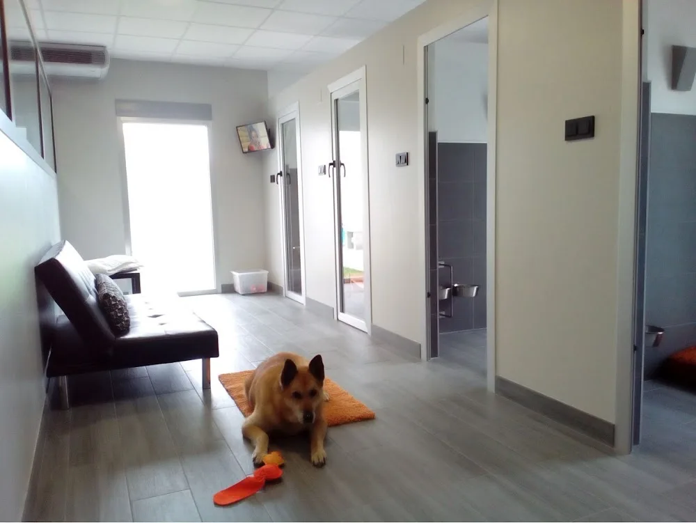 Hotel para animales Lassie - Lugo pet otel