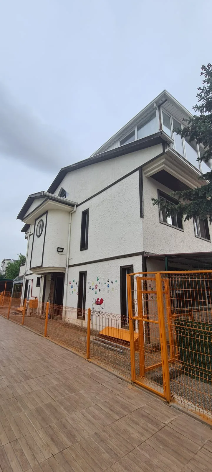 Luna Pet Otel - Ankara pet otel görseli 3