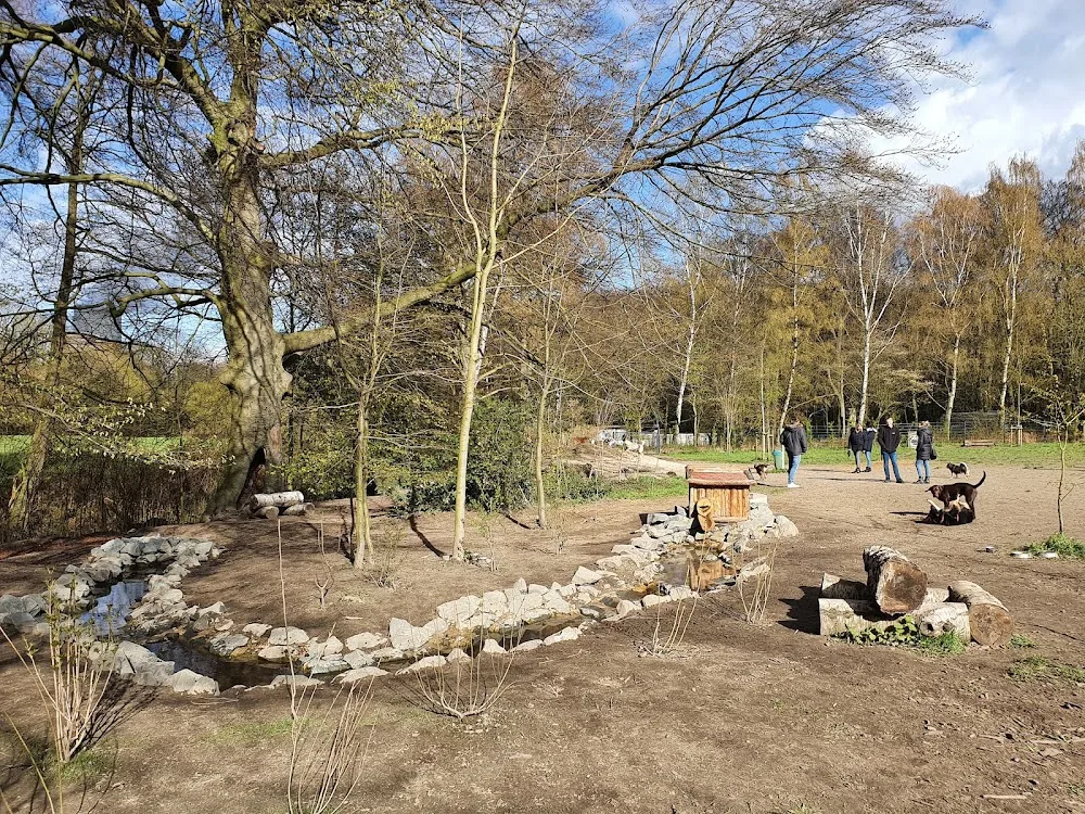 Hundewald Doghausen - Lünen pet otel