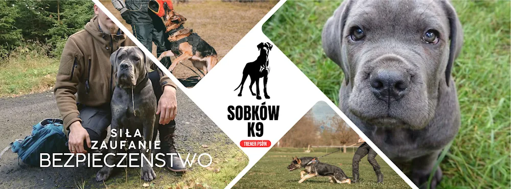 SOBKÓW K9 – Szkolenie i hotel dla psów Wrocław - Lutynia pet otel