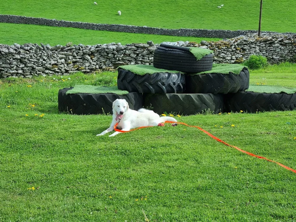 Grassgarth Boarding Kennels - Lyth, Kendal pet otel görseli 3