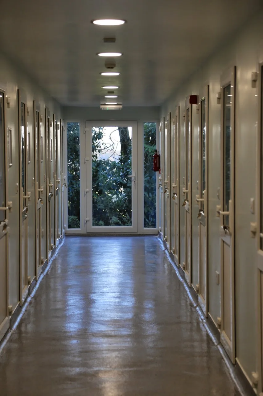 Lindeth Kennels - Lyth, Kendal pet otel görseli 3