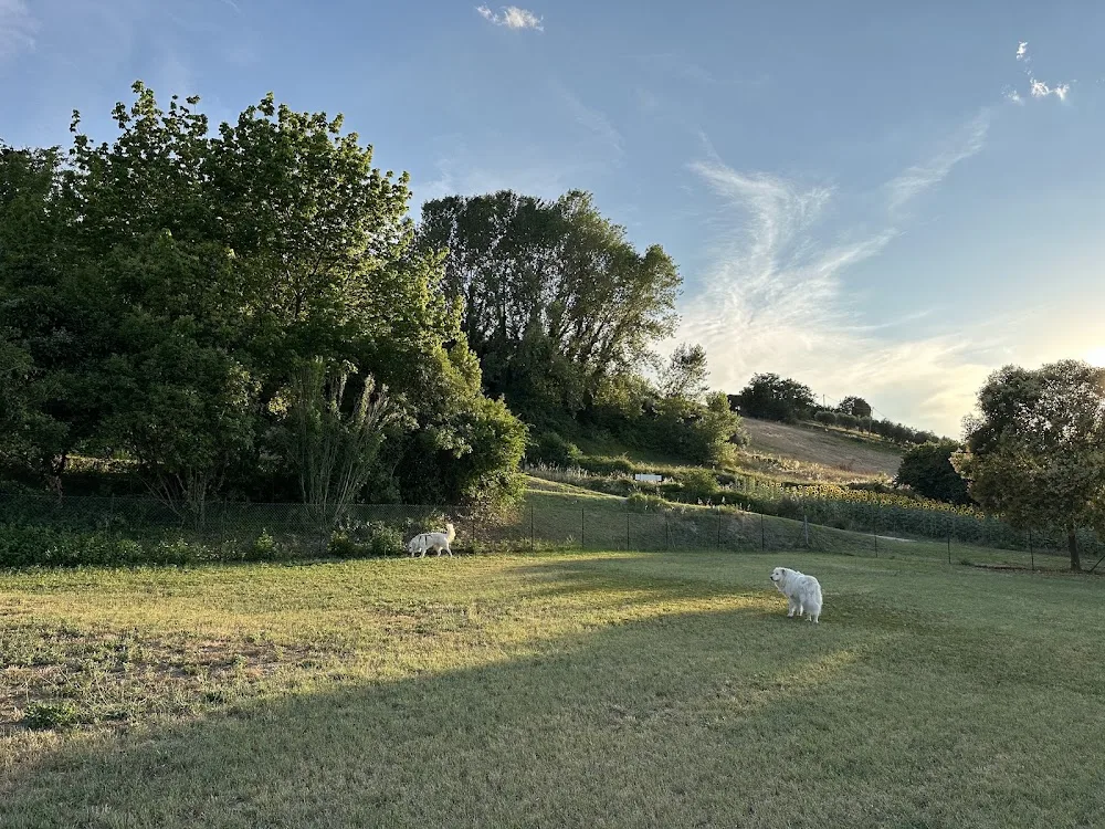 Colle Guasco di Fagotti Monia - Macerata pet otel