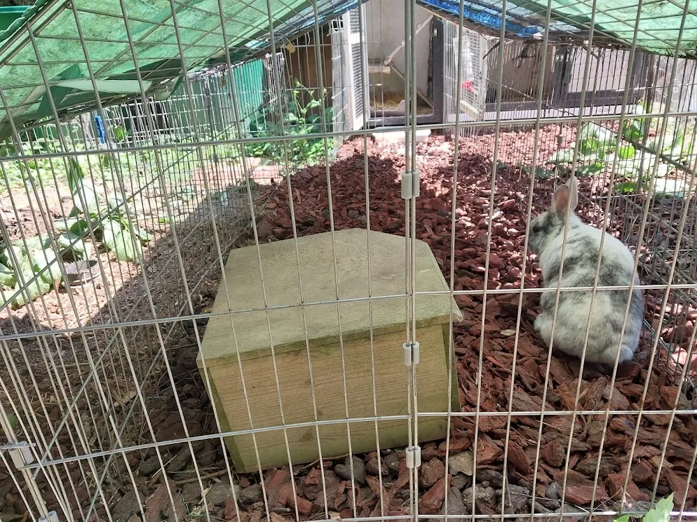 Tierbetreuung mit Herz - Machern pet otel