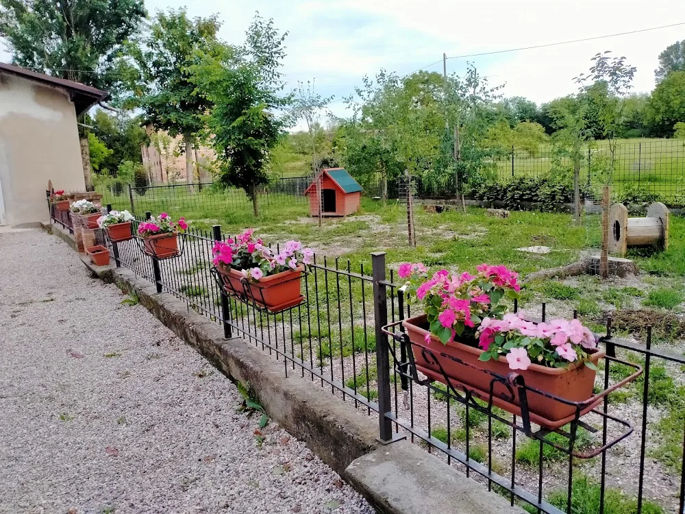 L'OASI pensione CANI (piccola taglia) e GATTI - magnacavallo pet otel