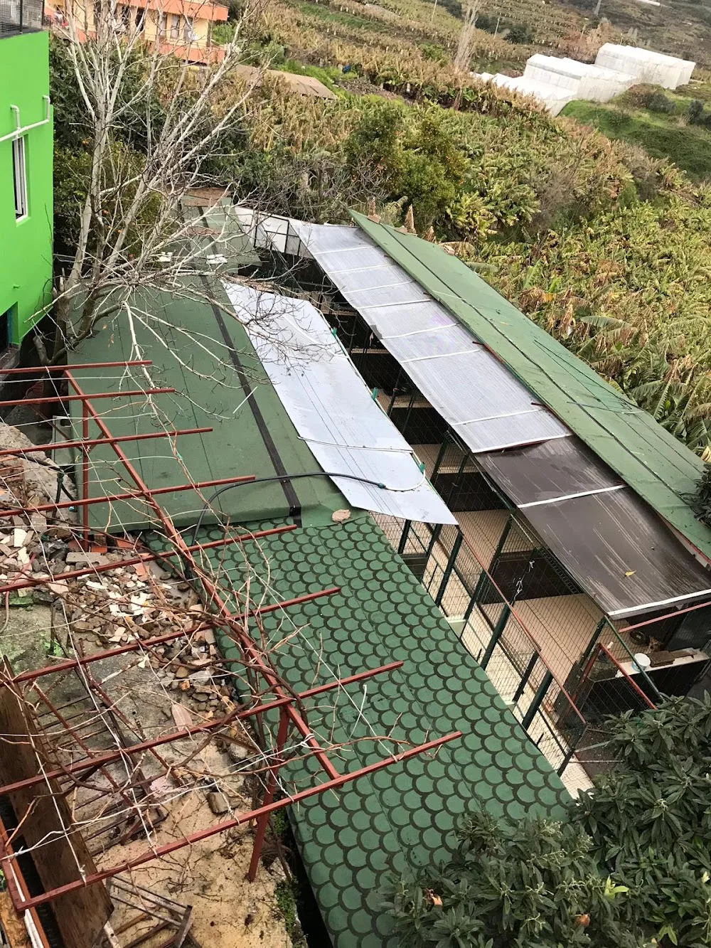 Mahmutlar Pet Pansiyon - Alanya pet otel görseli 2