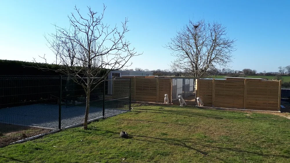La Maison Des Anges - Maine-et-Loire pet otel