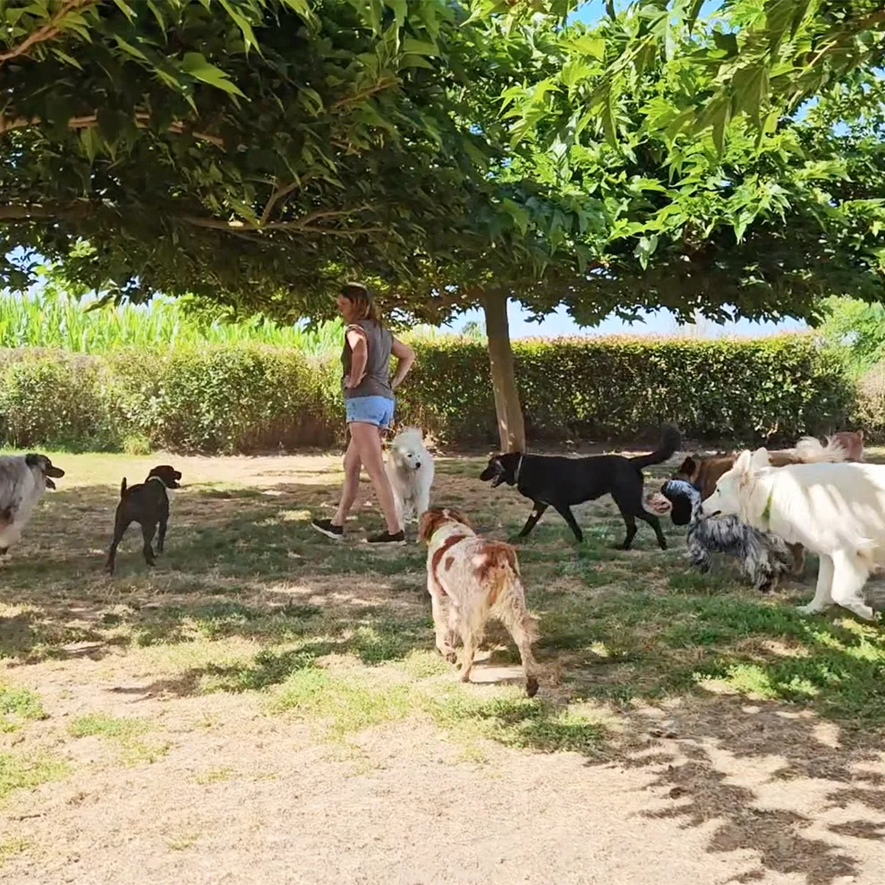 Le Domaine de Noisette - Maine-et-Loire pet otel görseli 7