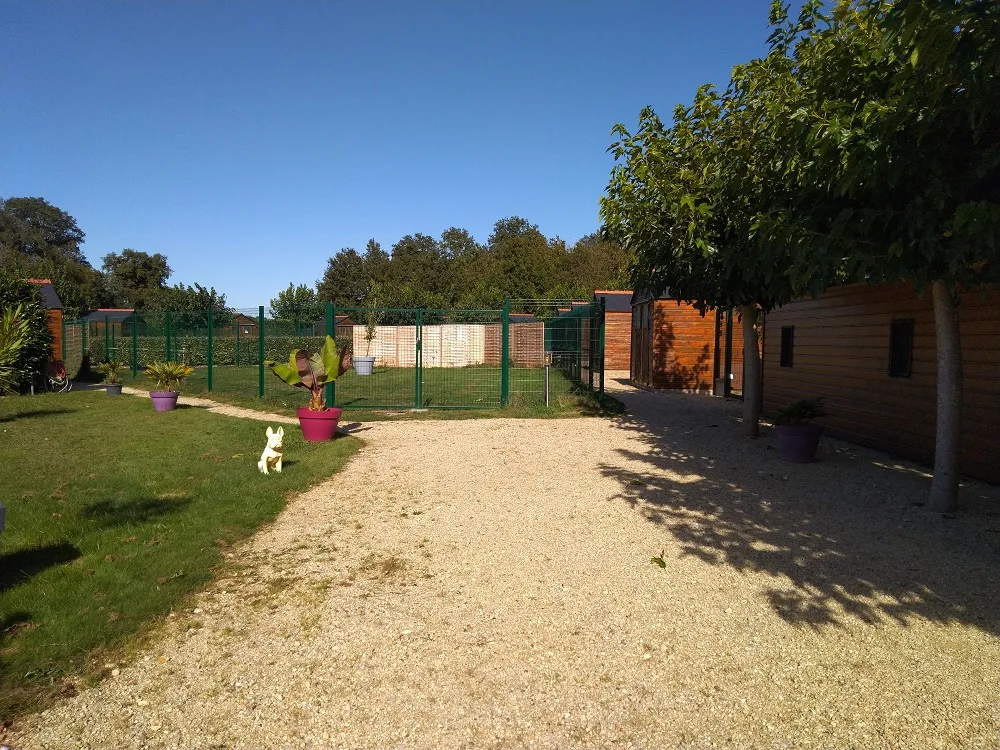 Pension De Bon Poil - Maine-et-Loire pet otel görseli 6