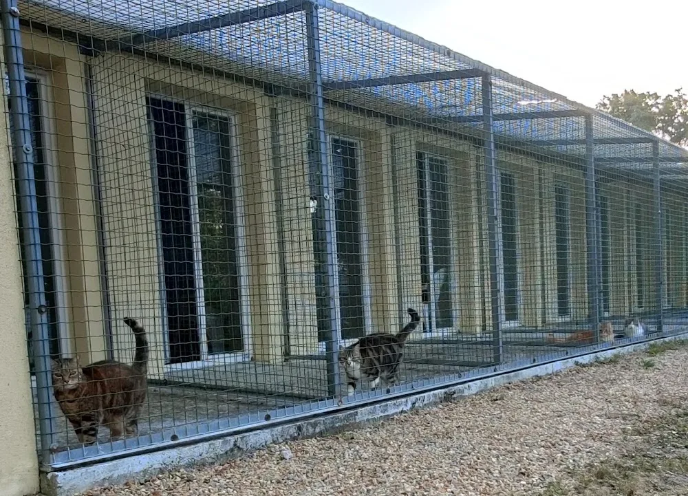 Pension le Boisneau - Maine-et-Loire pet otel görseli 7