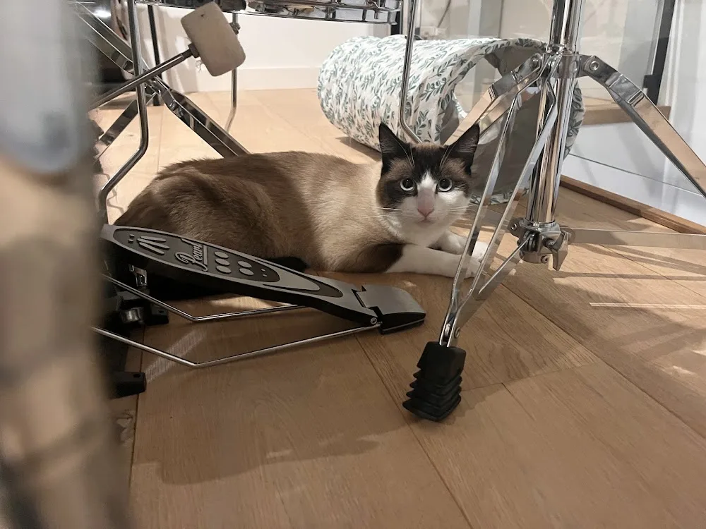 PetsAtHome - Garde d'animaux à Angers et alentours - Maine-et-Loire pet otel görseli 2