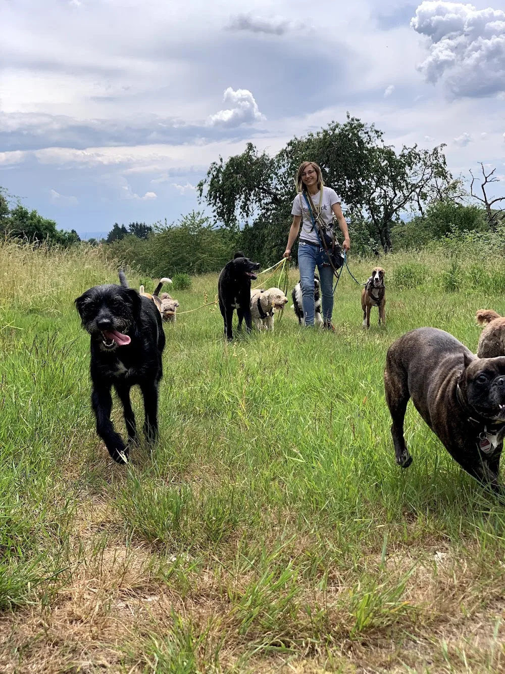 FelixCanis Hundetagesbetreuung & Hundetraining - Mainz pet otel görseli 3